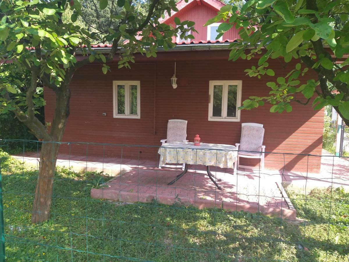 Rustic Country House In Snagov Apartment ภายนอก รูปภาพ